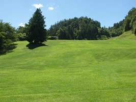 奈良パブリックゴルフ場