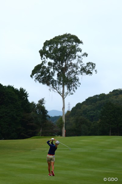 2014年 スタンレーレディス 最終日 上田桃子 2Hグリーンの木、本当に大きいです！サイズ感を伝えられず終了