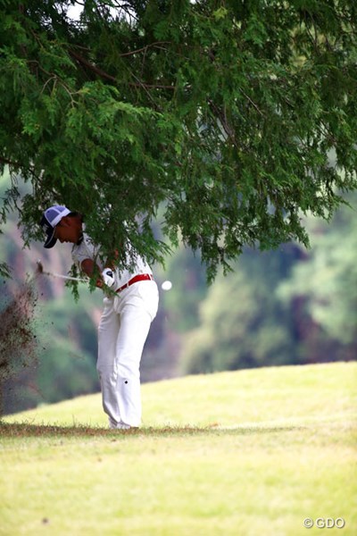 2014年 ブリヂストンオープンゴルフトーナメント 最終日 岩田寛 前の木が邪魔だね、でもさすがにうまい