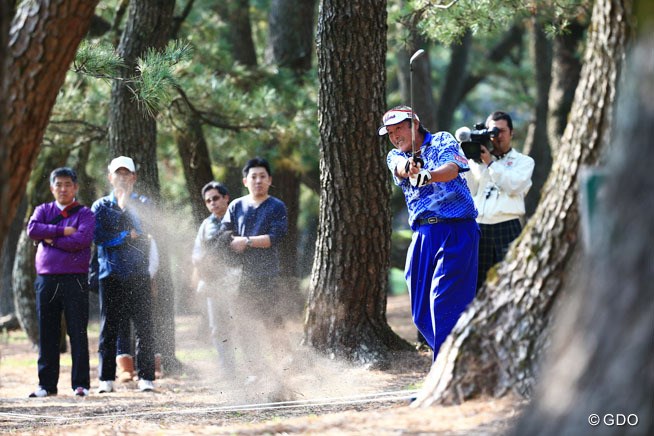 2014年 ダンロップフェニックストーナメント 初日 尾崎将司