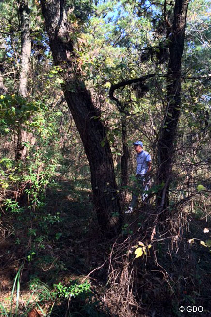 ホ・インヘ「うっそー、だめだこれ…」流血トリプルボギー