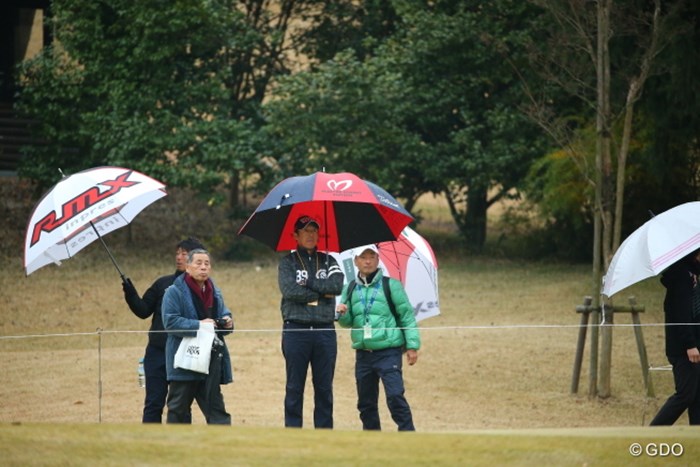 師匠が遠くから見守ってますよ。 2014年 ゴルフ日本シリーズJTカップ 初日 芹澤信雄