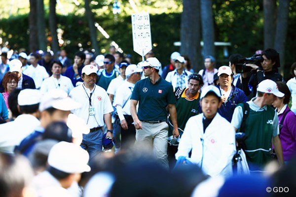 2014年 日本オープンゴルフ選手権競技 2日目 アダム・スコット 日本でも人気が高いアダム・スコット。多くのファンがその後を追った