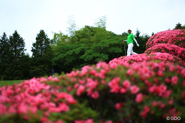 2015年 日本ゴルフツアー選手権 Shishido Hills 2日目 桑原克典 最終日最終組で撮影したいからロケハン
