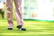 2015年 長嶋茂雄 INVITATIONAL セガサミーカップゴルフトーナメント 最終日 岩田寛