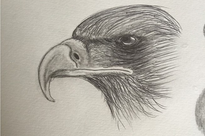 2015年 NEC軽井沢72 最終日 テレサ・ルー自筆の絵