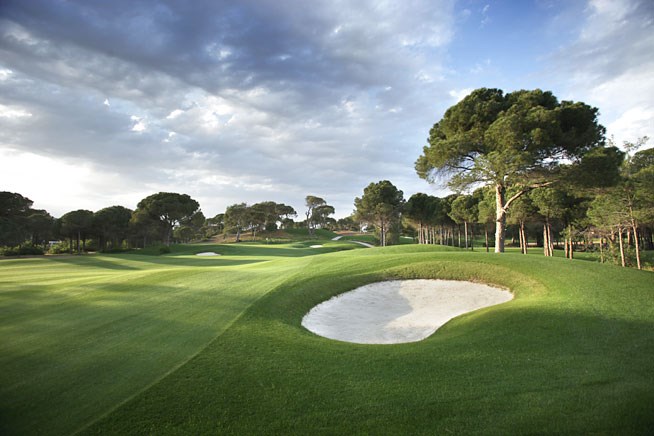 マックスロイヤル15番