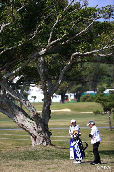 2016年 ダイキンオーキッドレディスゴルフトーナメント 初日 斉藤愛璃 ガジュマルの木の下で・・・
