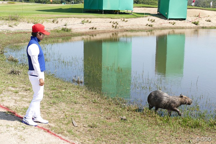 カピバラと野村敏京 尻尾がないから ネズミではないですね 16年 リオデジャネイロ五輪 事前 野村敏京 フォトギャラリー Gdo カピバラと野村敏京 尻尾がないから ネズミではないですね 16年 リオデジャネイロ五輪 事前 野村敏京 フォトギャラリー Gdo