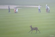 2016年 スタンレーレディスゴルフトーナメント 2日目 鹿