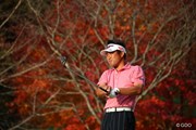 2016年 ゴルフ日本シリーズJTカップ 最終日 池田勇太