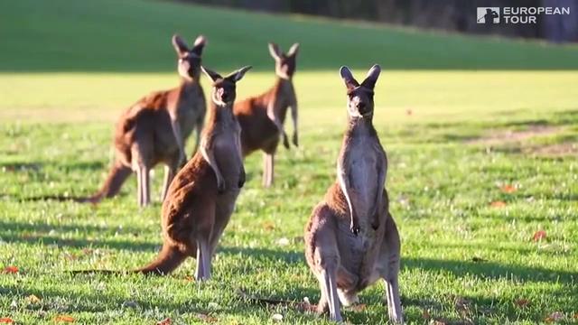 ラムフォードが地元パースで首位を堅持