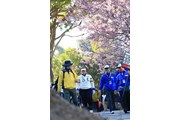 2017年 ヨコハマタイヤゴルフトーナメント PRGRレディスカップ 2日目 酒井美紀