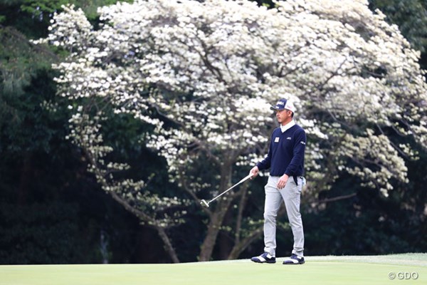 2017年 パナソニックオープンゴルフチャンピオンシップ 2日目 岩田寛 背景の白い花は何だろう？ついついシャッターを切ってしまった