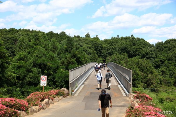 2017年 日本ツアー選手権 森ビル杯 Shishido Hills 最終日 橋 渡ってはいけない地帯まで来てしまった。