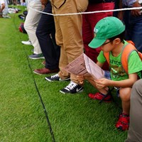 新聞を読む通勤中のサラリーマン風。 2017年 日本女子オープンゴルフ選手権競技 最終日 ギャラリー