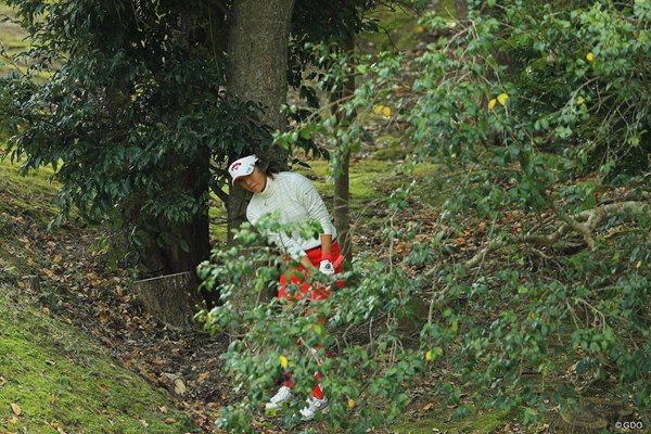 2017年 伊藤園レディスゴルフトーナメント 初日 藤田光里 何だか大変な事になってますな。