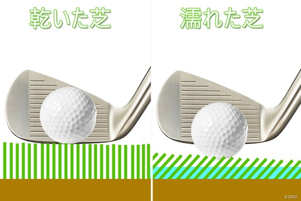 なぜ年末のゴルフでは良いスコアが出にくいのか？（画像2枚目） 芝が立った状態(画像左)と倒れた状態(右)の高さの差は約1mm