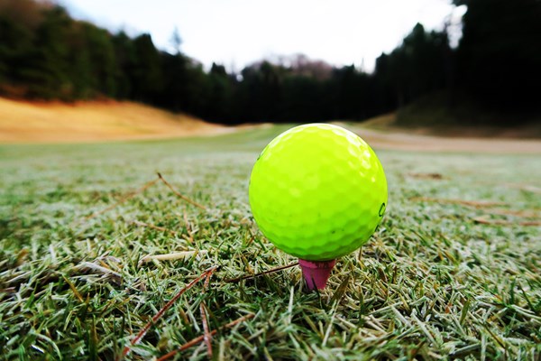 なぜ年末のゴルフでは良いスコアが出にくいのか？（画像1枚目） 原因は「芝」にアリ…？