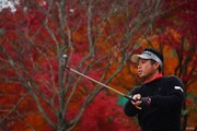 2017年 ゴルフ日本シリーズJTカップ 初日 池田勇太