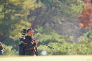 2017年 ゴルフ日本シリーズJTカップ 最終日 カメラマン