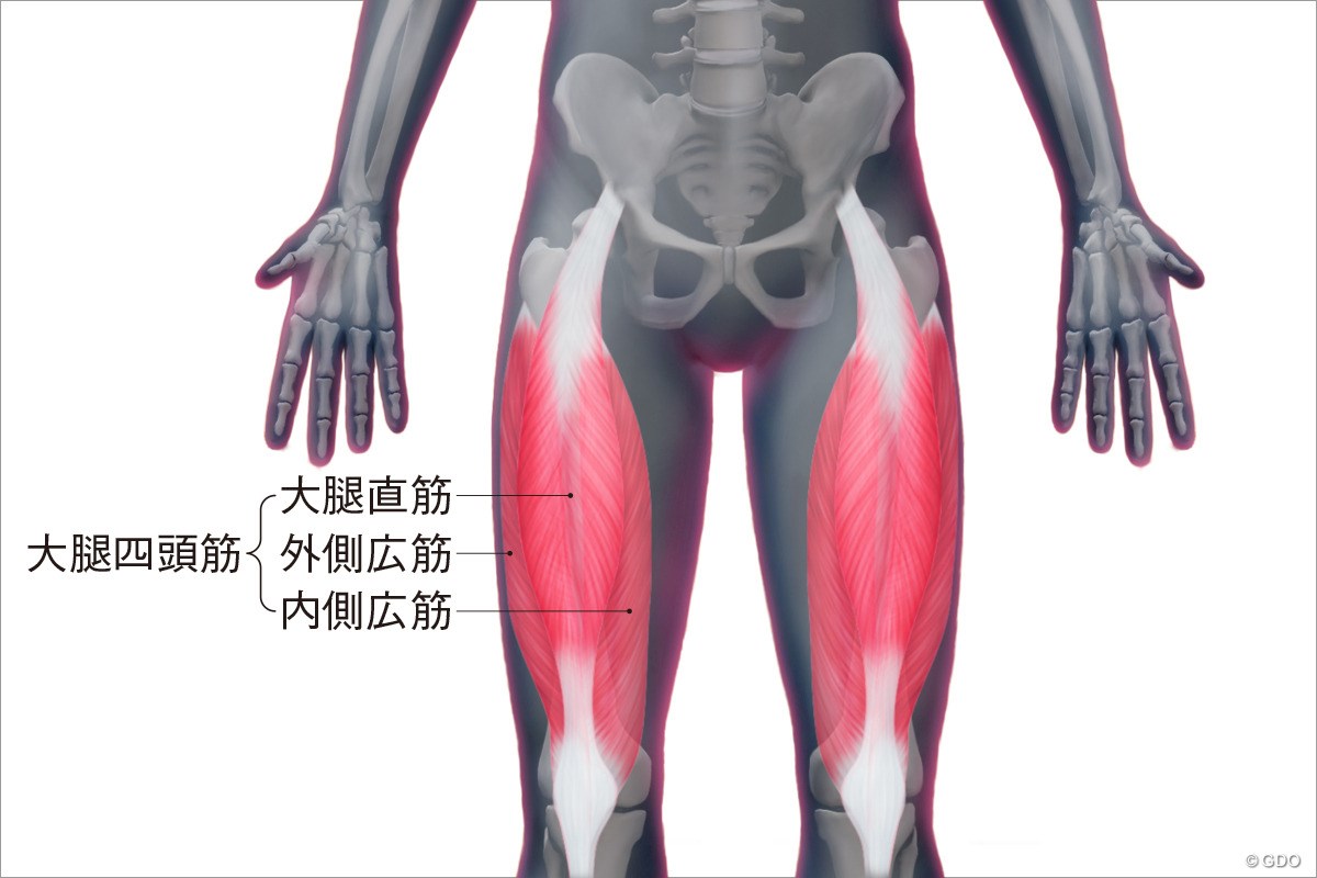 ＜ゴルフと筋肉＞太もものストレッチ