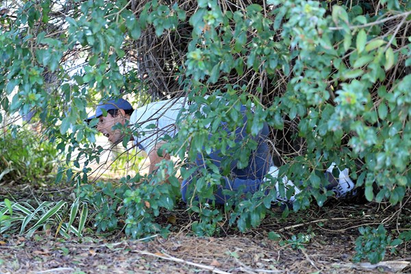 2018年 ザ・ホンダクラシック 3日目 ロリー・マキロイ マキロイは茂みの中から正座でブッシュアウト（David CannonGetty Images）