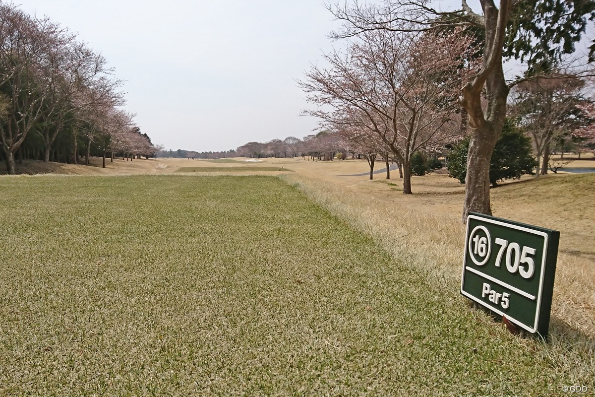 2018年 ～全英への道～ミズノオープン at ザ・ロイヤルGC 事前 16番