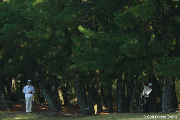 LPGAツアーチャンピオンシップリコーカップ2日目／N.キャンベル