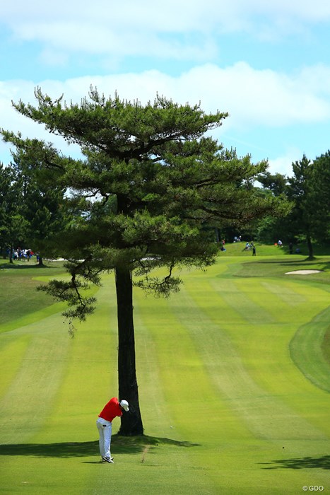目の前に木があろうがなんのその。 2018年 関西オープンゴルフ選手権競技 最終日 小斉平優和