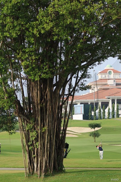 2018年 アジアパシフィックアマチュアゴルフ選手権 2日目 金谷拓実 スタートの10番はこの木の後ろからバーディを奪って見せた