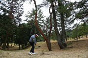 2018年 ゴルフ日本シリーズJTカップ 最終日 Y.E.ヤン