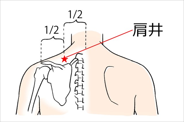 プラス1 ゴルフに役立つツボ 第2回 パフォーマンスアップ プレー前に腰と肩のお勧め4つ プラス1 Gdo ゴルフレッスン 練習