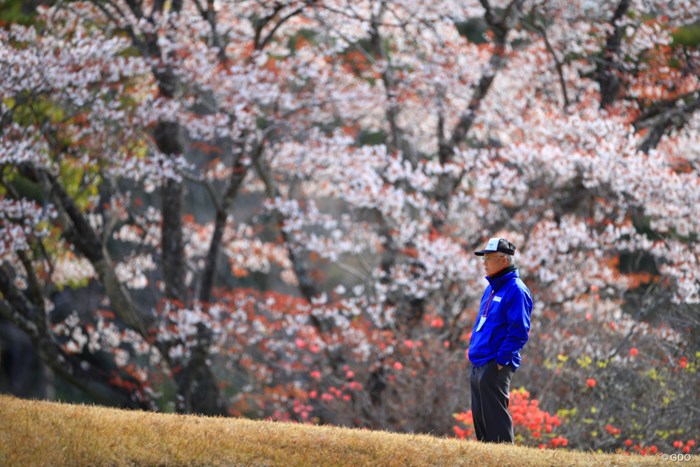 ゴルフも花見も両方楽しめる 2019年 ヨコハマタイヤゴルフトーナメント PRGRレディスカップ 2日目 ボランティア