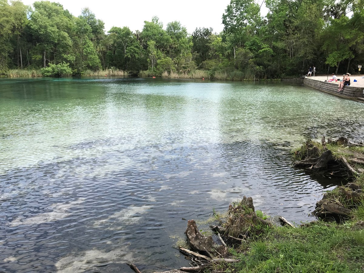 2019年 ザ・プレーヤーズ選手権 事前 アレクサンダー・スプリング