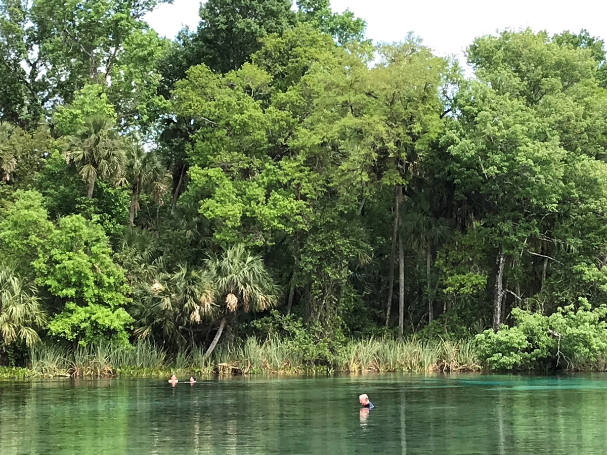 2019年 ザ・プレーヤーズ選手権 事前 アクレサンダー・スプリング
