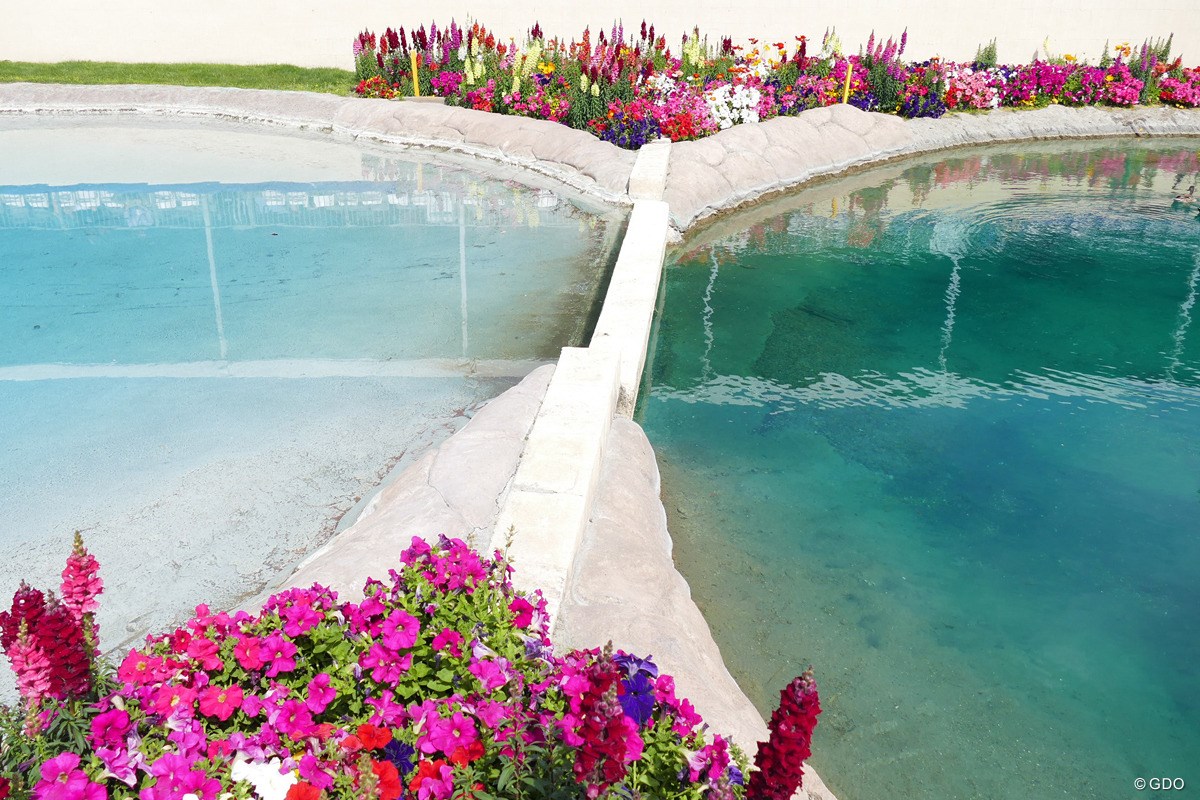 2019年 ANAインスピレーション 2日目 ポピーズポンド（左）と池