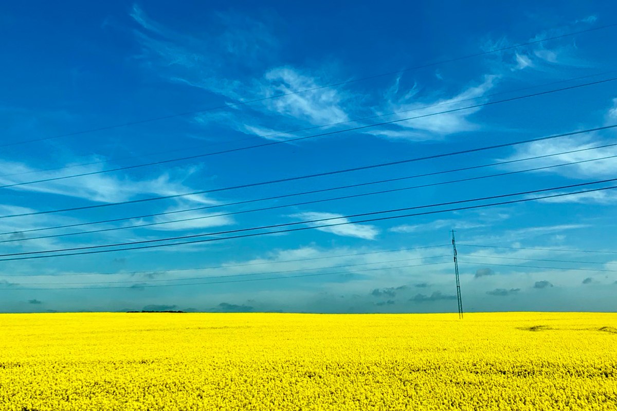 デンマークの景色