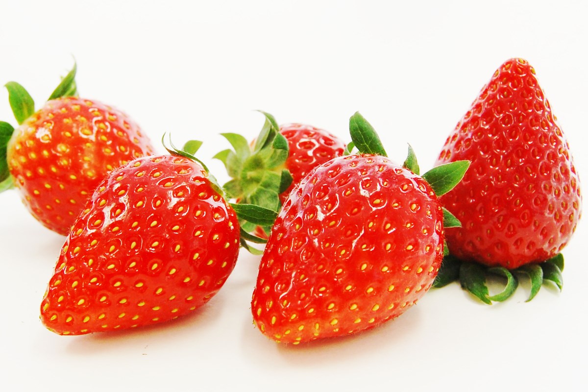 茨城美女とゴルフデート／第3話【方言2サム漫遊記】