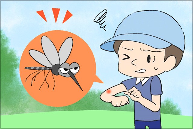 ゴルフ場毒虫シリーズ 夏の大敵 蚊は感染症も怖い Topics ゴルフトピック Gdo