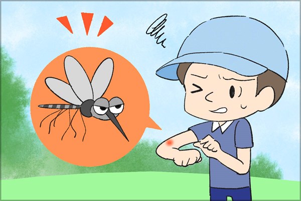 虫刺され 蚊 夏のゴルフは虫刺されに要注意！ 今回は蚊について調査した