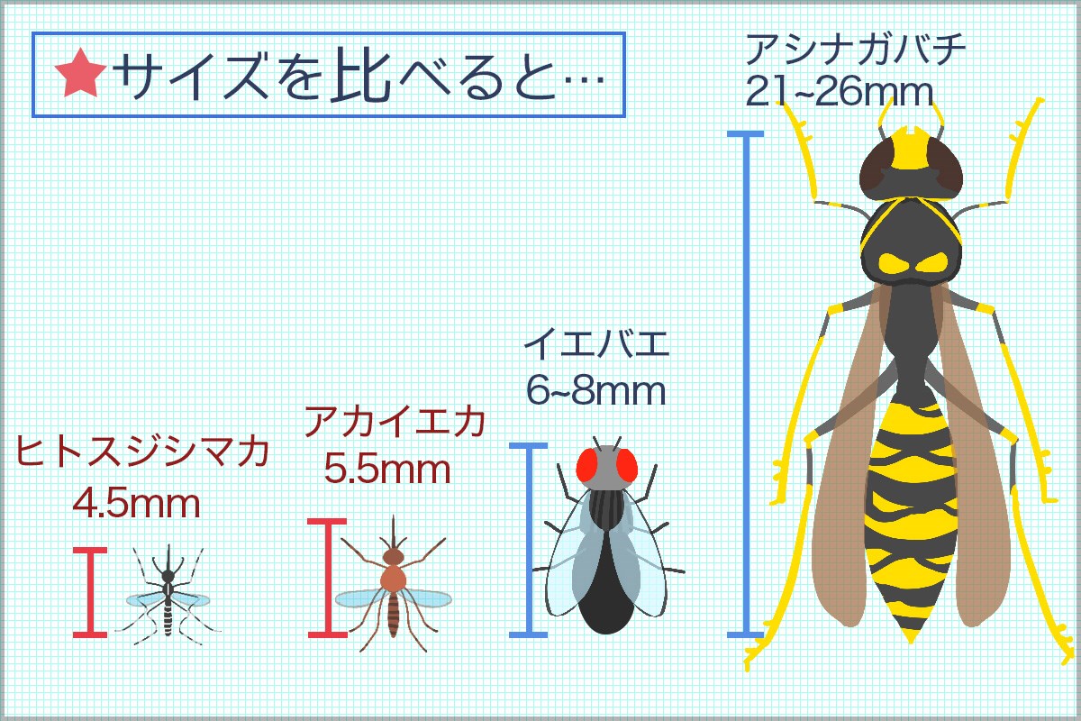 毒虫シリーズ 蚊のサイズ