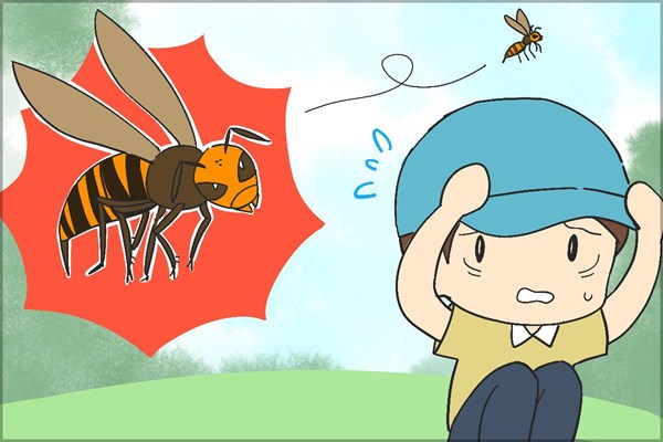 毒虫シリーズ 蜂 虫刺されの中でも特に危険なのがスズメバチだ
