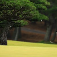 豊島さん！！  ファイットーーーー！！！ 2019年 日本オープンゴルフ選手権競技 初日 豊島豊