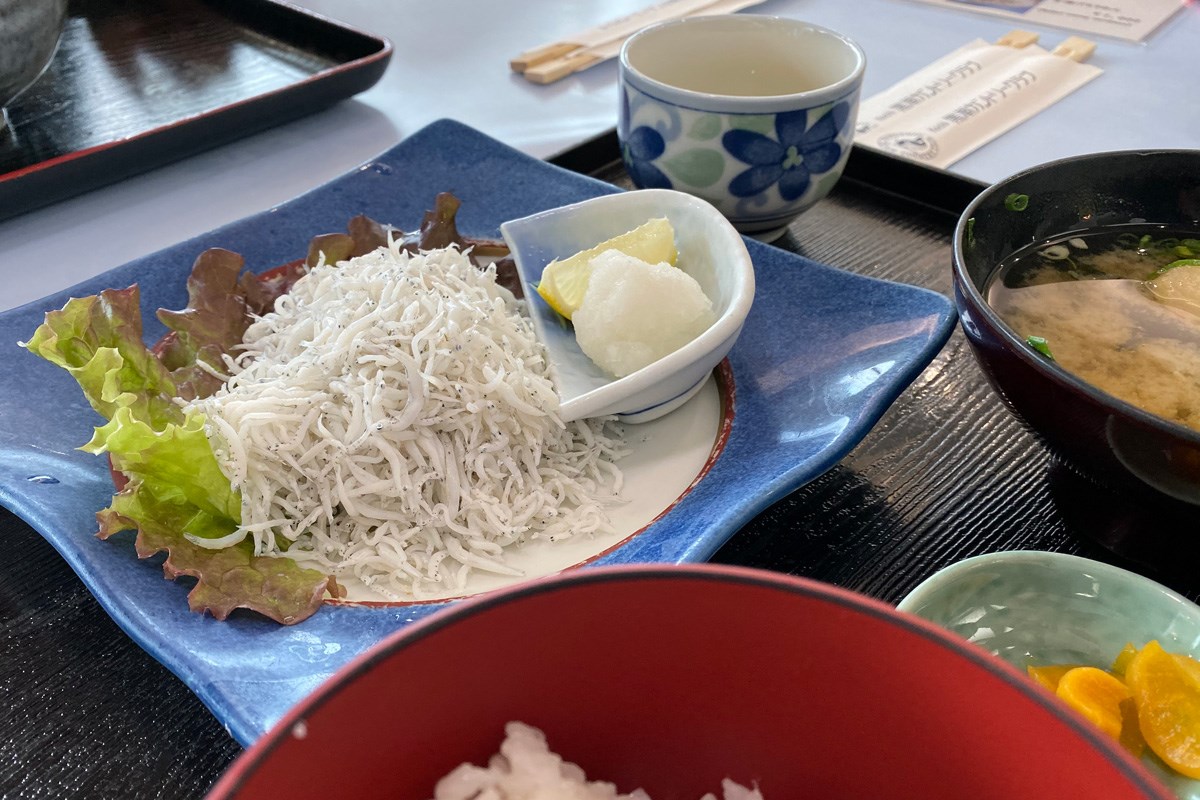 2019年 カシオワールドオープンゴルフトーナメント 事前 高知のランチ