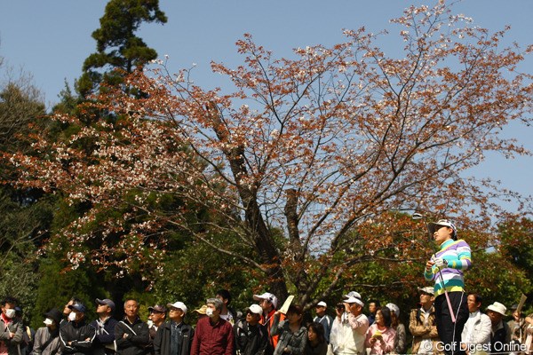 横峯さくら／Tポイントレディス初日 「鹿児島の桜」も、「さくらの桜」も、まだ満開には時間が掛かるんでしょうか・・・。