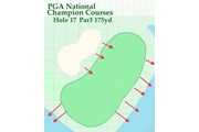 2020年 ザ・ホンダクラシック 事前 PGAナショナル・チャンピオンコース 17番グリーン