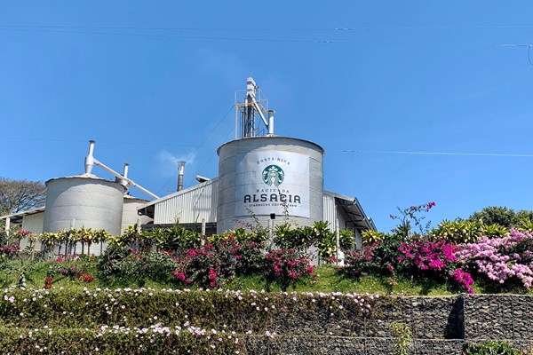 2020年 オマーンオープン 事前 コスタリカのコーヒー農園 スターバックスの工場