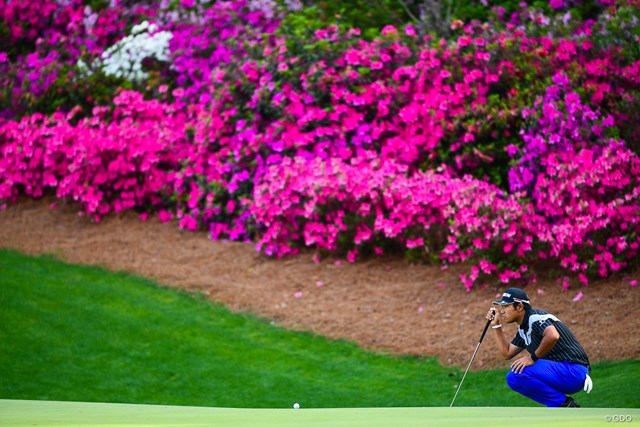 鮮やかに咲く花 春のオーガスタ写真集 幻のマスターズウィーク Pgaツアー 米国男子 Gdo ゴルフダイジェスト オンライン