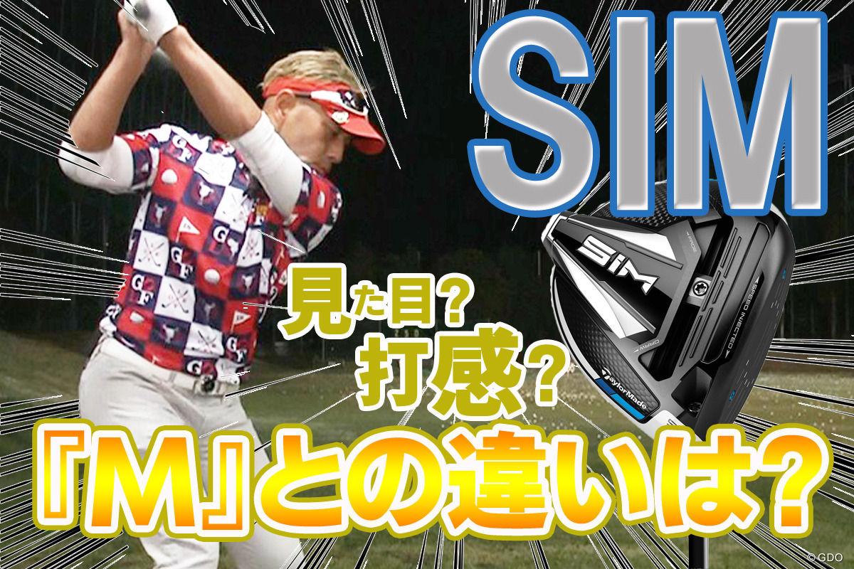 新品★ドライバー用ダイナミックゴールド★SIM M5M6 新品☆ドライバー用ダイナミックゴールド☆SIM M5M6